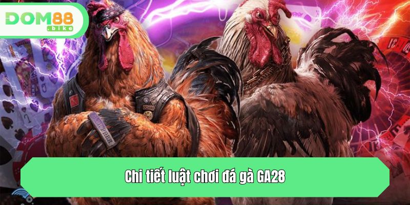 Chi tiết luật chơi đá gà GA28