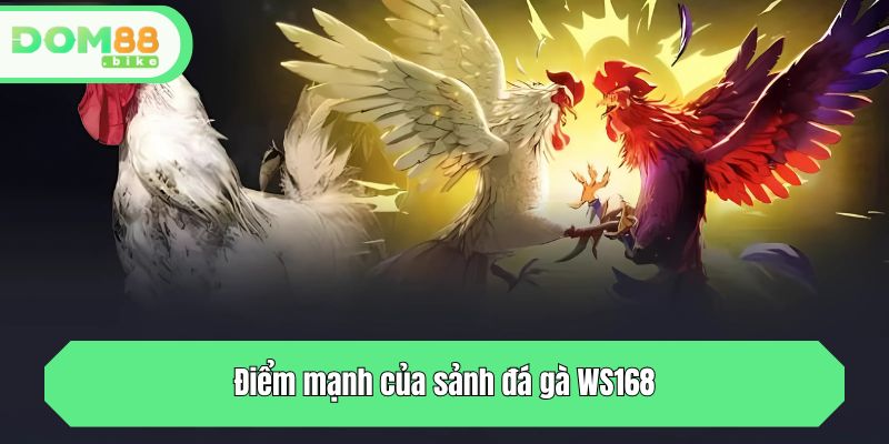 Đá Gà WS168 - Sảnh Cá Cược Chọi Kê Đỉnh Cao Tại DOM88 3 Điểm mạnh của sảnh đá gà WS168