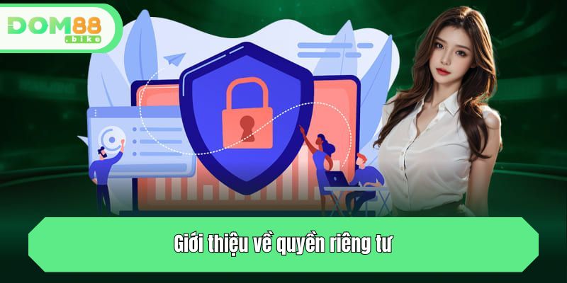 Quyền Riêng Tư DOM88 - Lời Cam Kết An Toàn Tuyệt Đối 1 Giới thiệu về quyền riêng tư