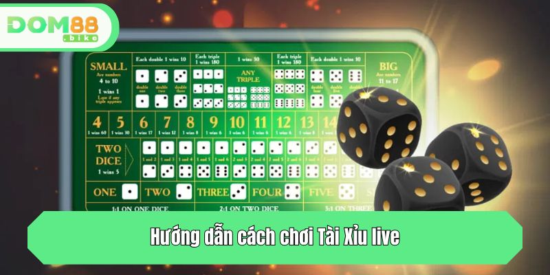 Hướng dẫn cách chơi Tài Xỉu live