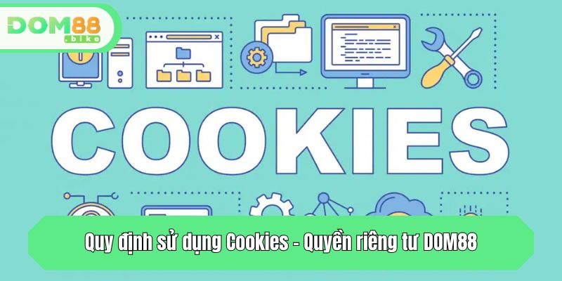 Quyền Riêng Tư DOM88 - Lời Cam Kết An Toàn Tuyệt Đối 3 Quy định sử dụng Cookies - Quyền riêng tư DOM88