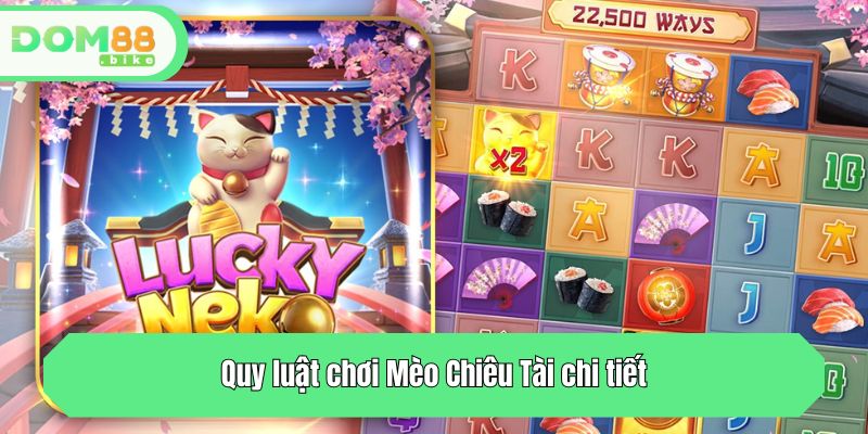Quy luật chơi Mèo Chiêu Tài chi tiết