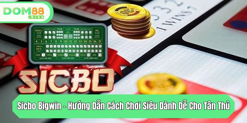 sicbo bigwin huong dan cach choi sieu danh de cho tan thu
