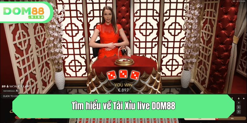 Tìm hiểu về Tài Xỉu live DOM88